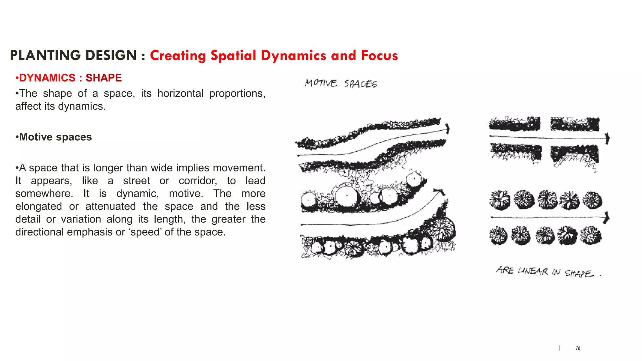 | 76
PLANTING DESIGN : Creating Spatial Dynamics and Focus
•DYNAMICS : SHAPE
•The shape of a space, its horizontal proportions,
affect its dynamics.
•Motive spaces
•A space that is longer than wide implies movement.
It appears, like a street or corridor, to lead
somewhere. It is dynamic, motive. The more
elongated or attenuated the space and the less
detail or variation along its length, the greater the
directional emphasis or ‘speed’ of the space.
 