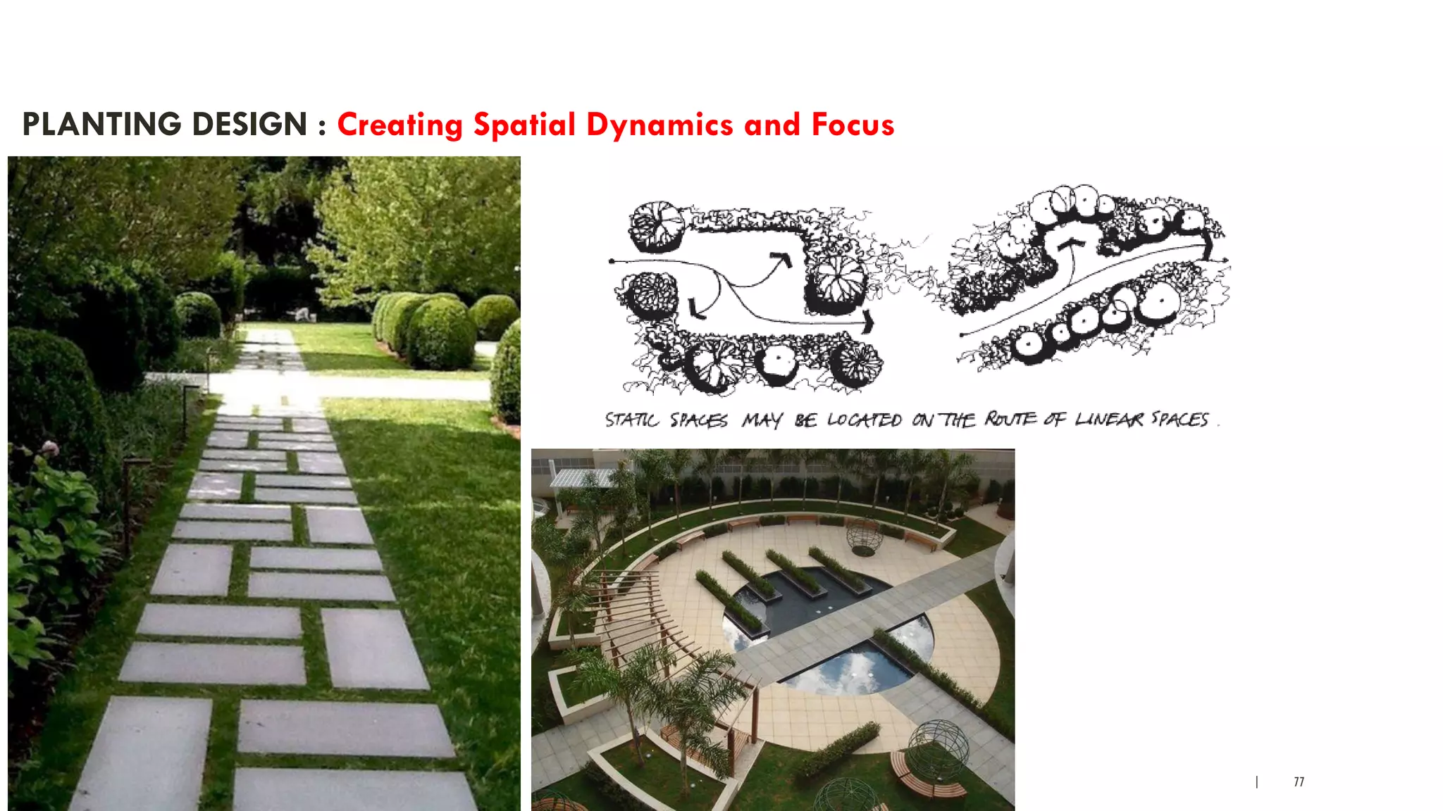 | 77
PLANTING DESIGN : Creating Spatial Dynamics and Focus
 
