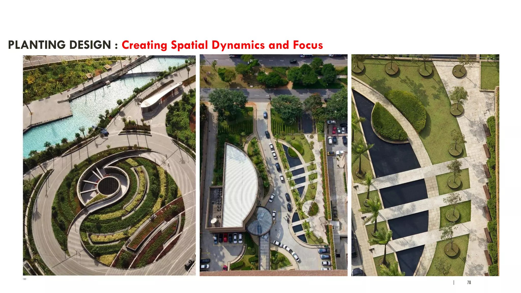 | 78
PLANTING DESIGN : Creating Spatial Dynamics and Focus
 