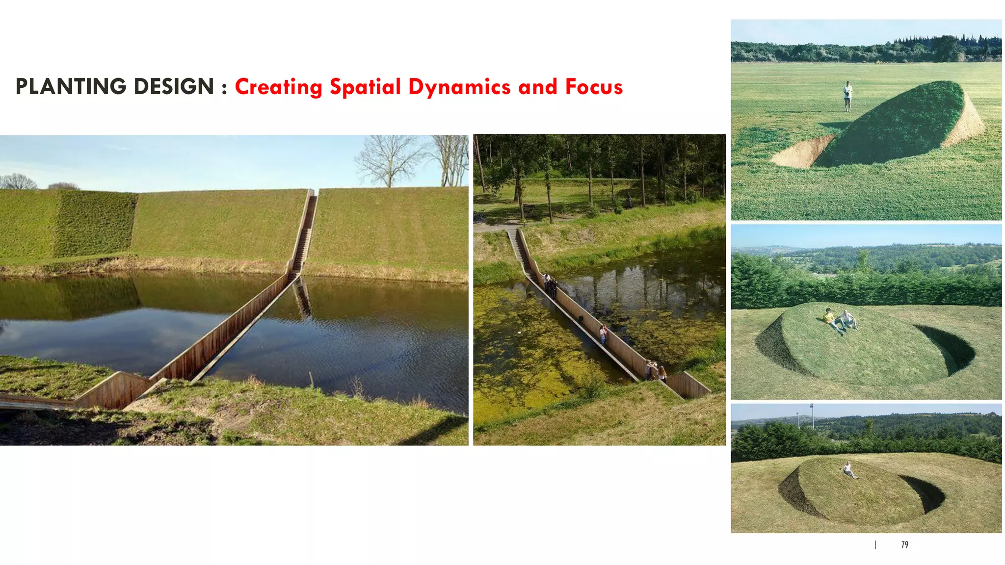 | 79
PLANTING DESIGN : Creating Spatial Dynamics and Focus
 