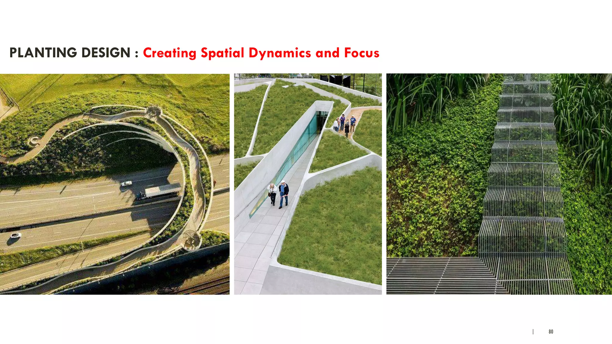 | 80
PLANTING DESIGN : Creating Spatial Dynamics and Focus
 