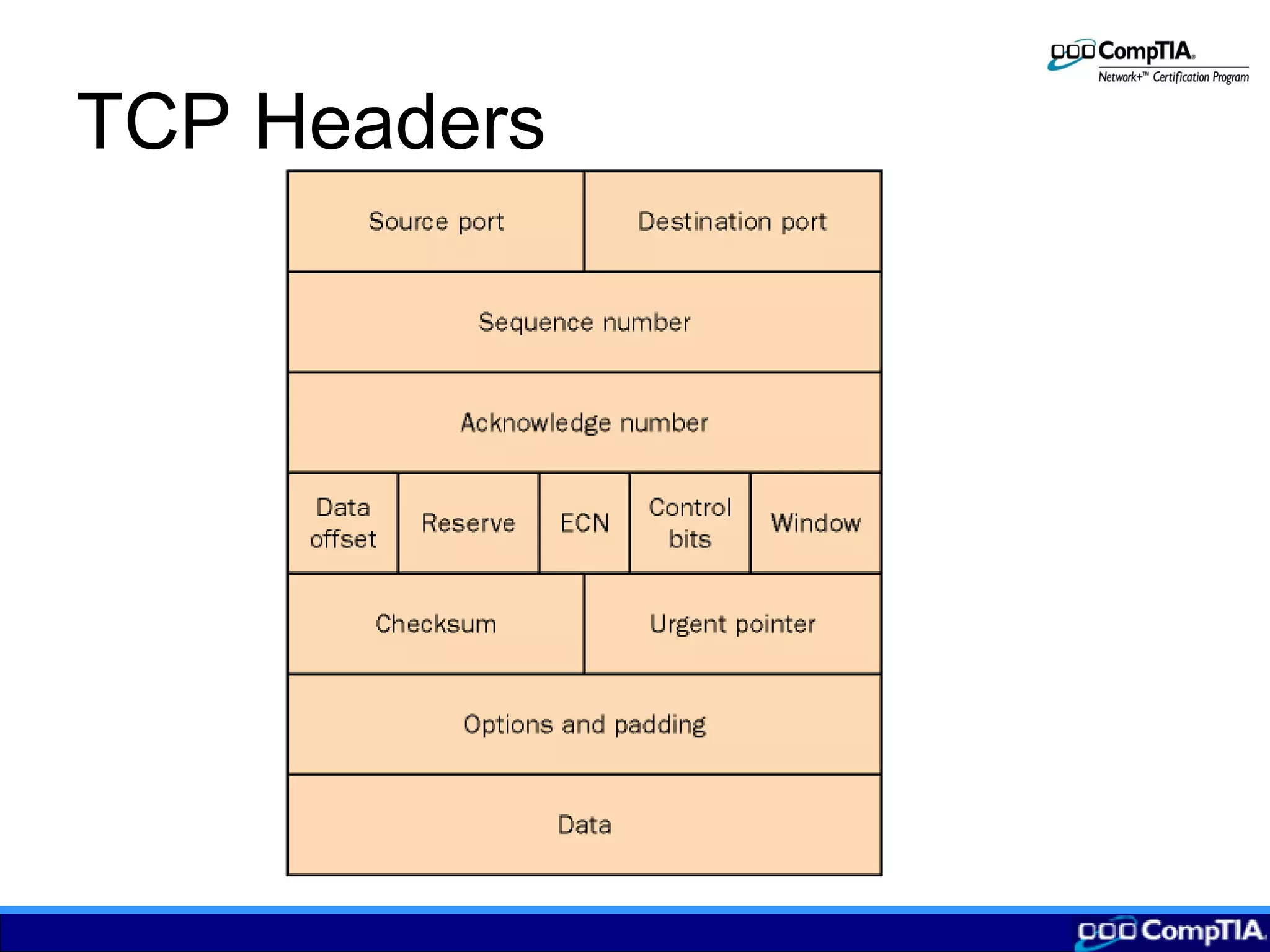 TCP Headers
 