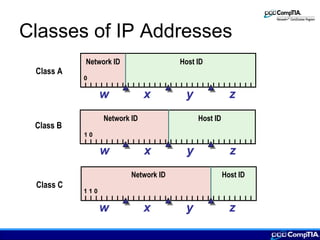 Classes of IP Addresses
Class C
Network ID Host ID
1 1 0
xw y z
Class B
Network ID Host ID
1 0
xw y z
Class A
Network ID Host ID
0
xw y z
 