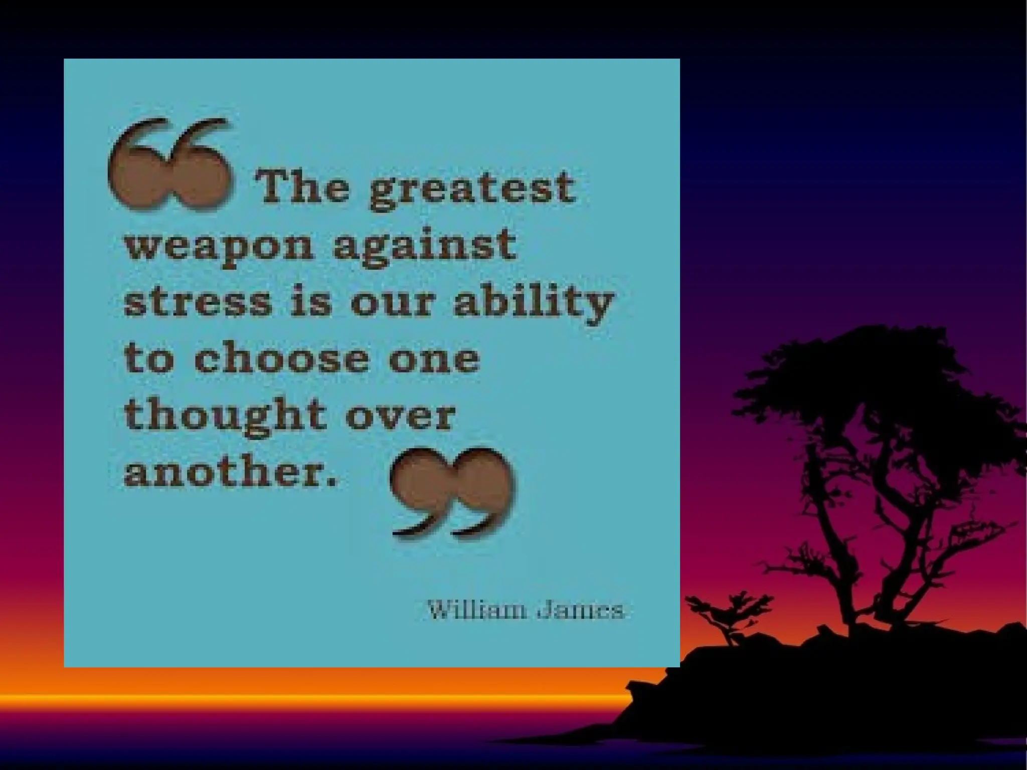 Unit 08 Stress its Effects 1 Read Only pptx