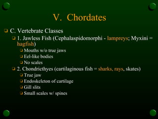 Unit 08 animal diversity | PPT