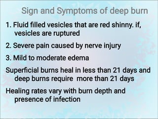 Sign and Symptoms of deep burn
1. Fluid ﬁlled vesicles that are red shinny. if,
vesicles are ruptured
2. Severe pain caused by nerve injury
3. Mild to moderate edema
Superﬁcial burns heal in less than 21 days and
deep burns require more than 21 days
Healing rates vary with burn depth and
presence of infection
 