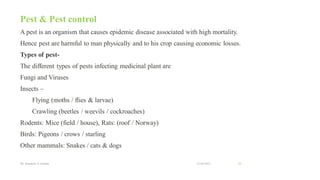 Pest & Pest control
A pest is an organism that causes epidemic disease associated with high mortality.
Hence pest are harmful to man physically and to his crop causing economic losses.
Types of pest-
The different types of pests infecting medicinal plant are
Fungi and Viruses
Insects –
Flying (moths / flies & larvae)
Crawling (beetles / weevils / cockroaches)
Rodents: Mice (field / house), Rats: (roof / Norway)
Birds: Pigeons / crows / starling
Other mammals: Snakes / cats & dogs
22-04-2021
Mr. Kamlesh A. Kadam 20
 