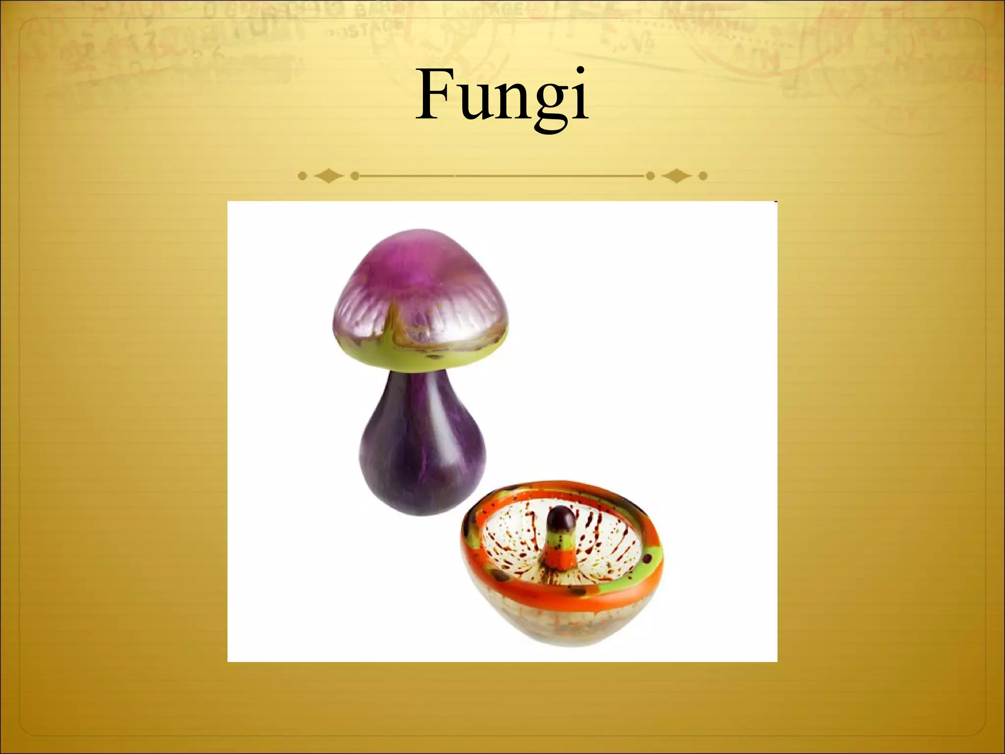 Fungi 