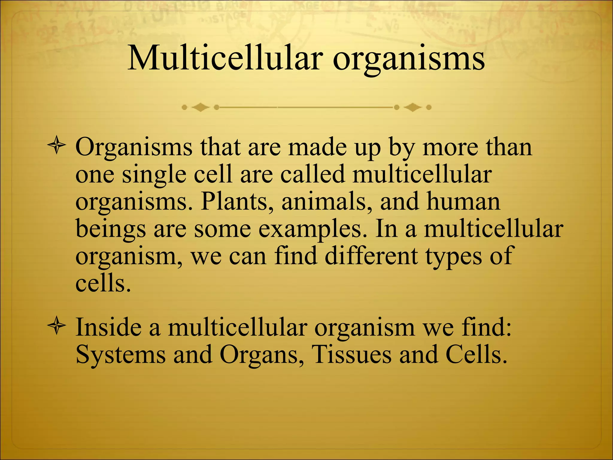 Multicellular organisms Organisms that are made up by more than one single cell are called multicellular organisms. Plants, animals, and human beings are some examples. In a multicellular organism, we can find different types of cells. Inside a multicellular organism we find: Systems and Organs, Tissues and Cells. 