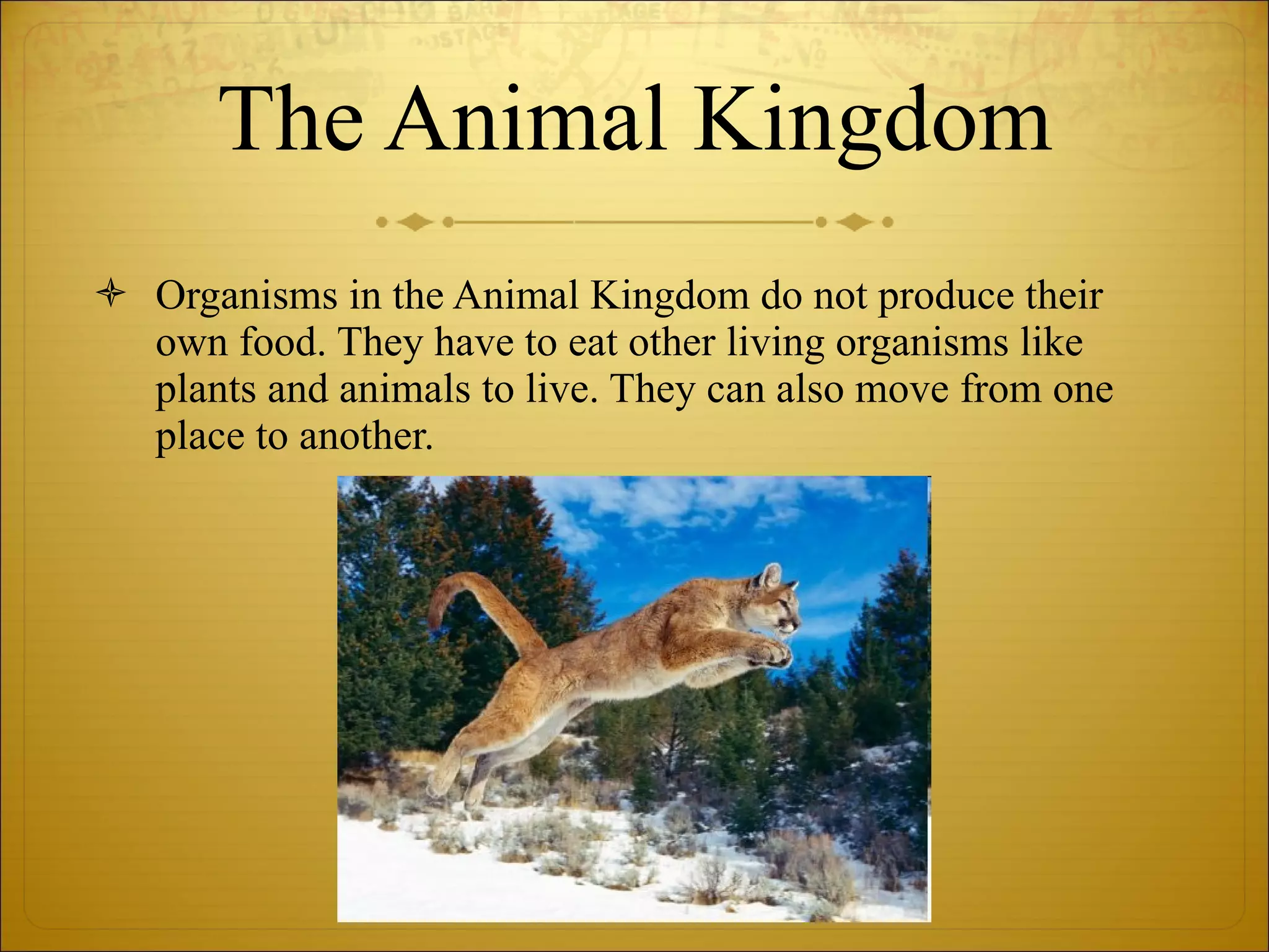 The Animal Kingdom Organisms in the Animal Kingdom do not produce their own food. They have to eat other living organisms like plants and animals to live. They can also move from one place to another. 