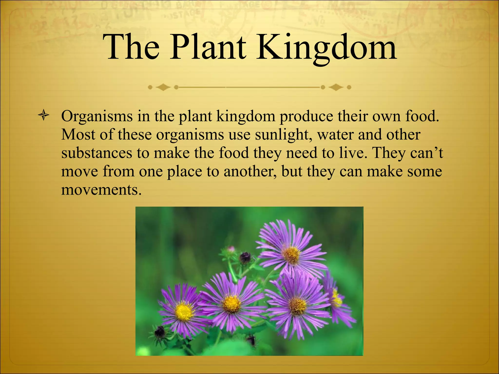 The Plant Kingdom Organisms in the plant kingdom produce their own food. Most of these organisms use sunlight, water and other substances to make the food they need to live. They can’t move from one place to another, but they can make some movements. 