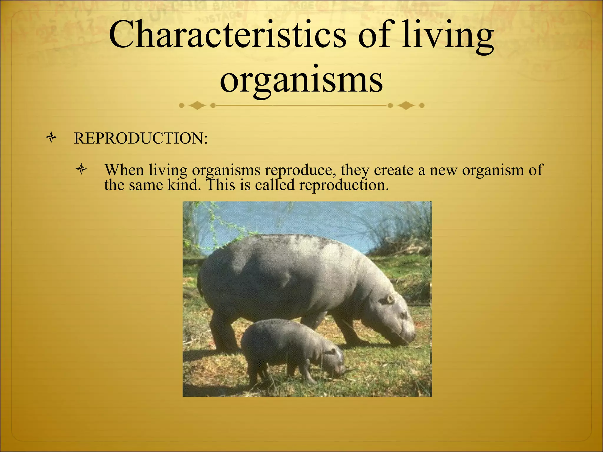 Characteristics of living organisms REPRODUCTION: When living organisms reproduce, they create a new organism of the same kind. This is called reproduction. 