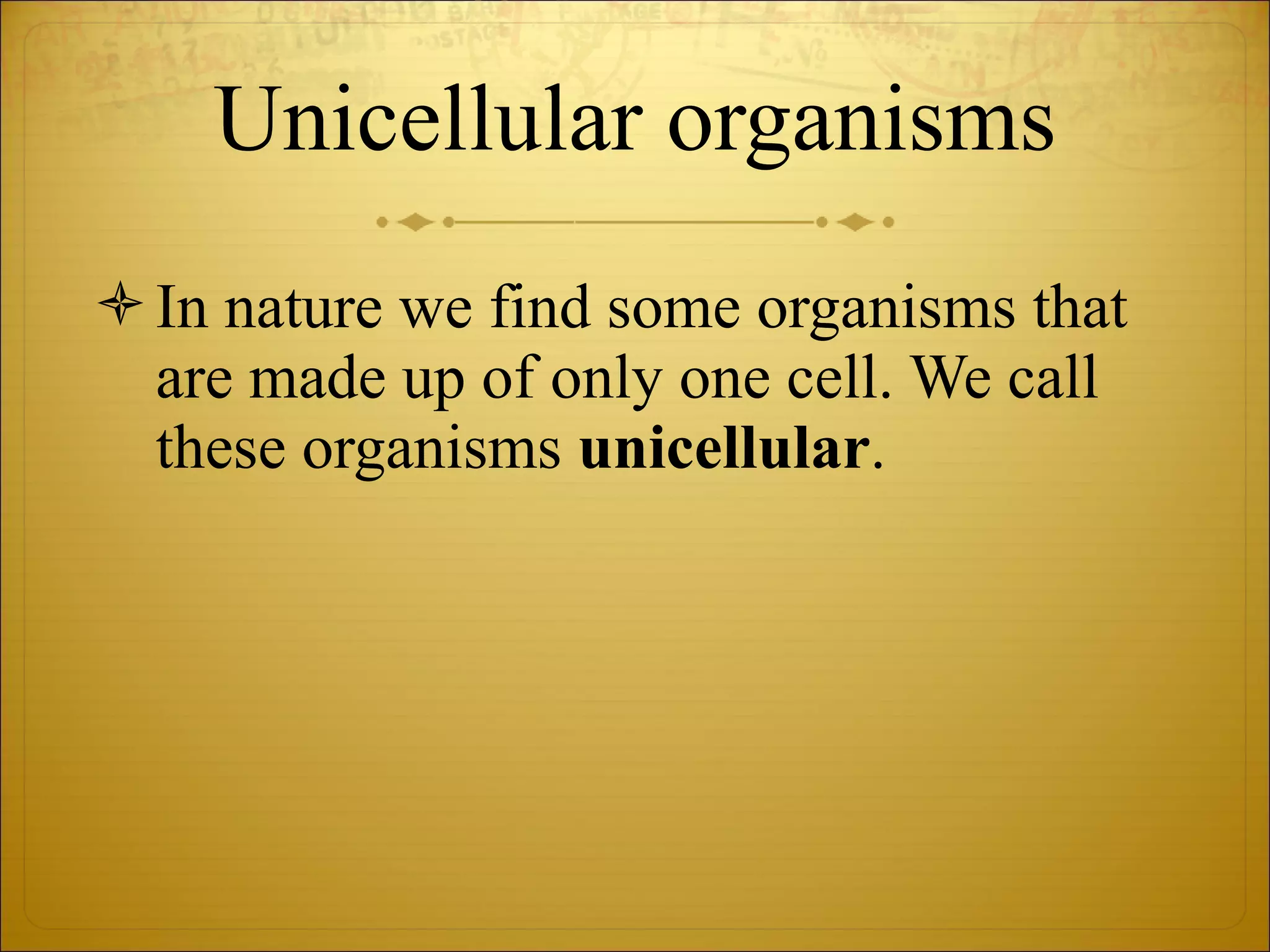 Unicellular organisms In nature we find some organisms that are made up of only one cell. We call these organisms  unicellular . 