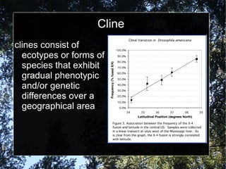 Cline clines consist of ecotypes or forms of species that exhibit gradual phenotypic and/or genetic differences over a geographical area 