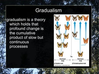 Gradualism gradualism is a theory which holds that profound change is the cumulative product of slow but continuous processes 