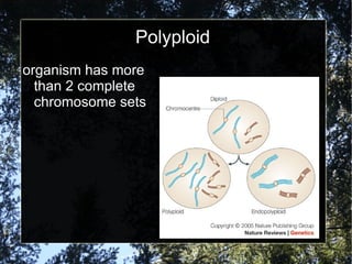 Polyploid organism has more than 2 complete chromosome sets 