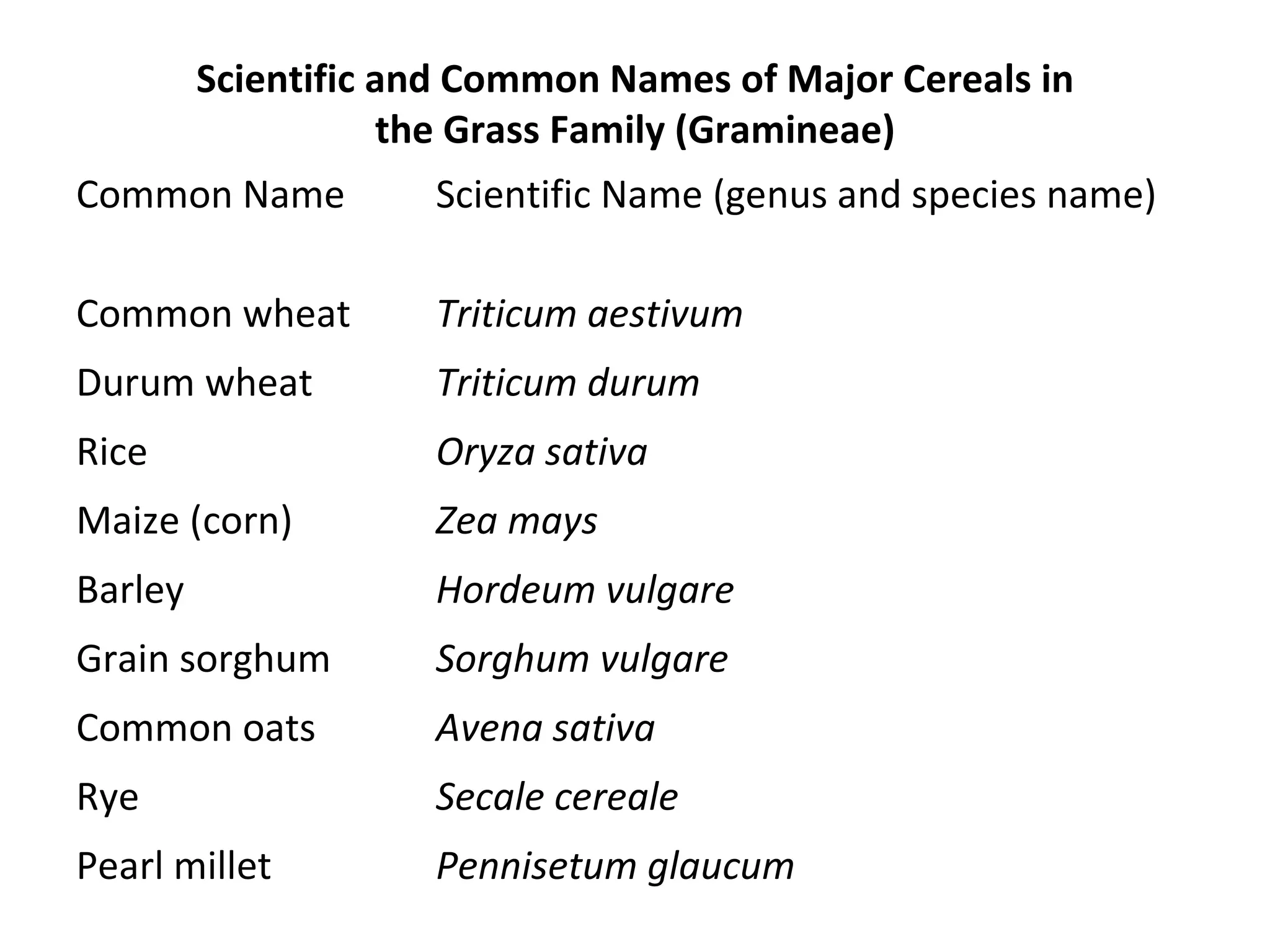 Scientific and Common Names of Major Cereals in
                    the Grass Family (Gramineae)
Common Name          Scientific Name (genus and species name)

Common wheat         Triticum aestivum
Durum wheat          Triticum durum
Rice                 Oryza sativa
Maize (corn)         Zea mays
Barley               Hordeum vulgare
Grain sorghum        Sorghum vulgare
Common oats          Avena sativa
Rye                  Secale cereale
Pearl millet         Pennisetum glaucum
 