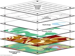 Identify the feature above.
 