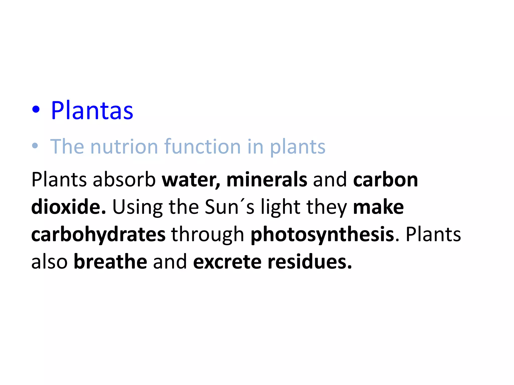 • Plantas
• The nutrion function in plants
Plants absorb water, minerals and carbon
dioxide. Using the Sun´s light they make
carbohydrates through photosynthesis. Plants
also breathe and excrete residues.
 