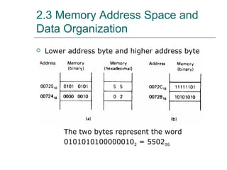 2.3 Memory Address Space and
Data Organization
 Lower address byte and higher address byte
The two bytes represent the word
01010101000000102 = 550216
 