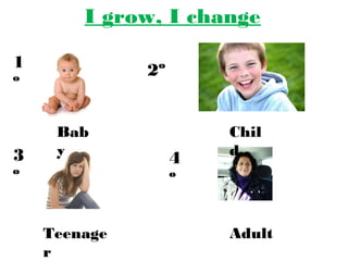 I grow, I change 
1 
º 
2º 
3 
º 
4 
º 
Bab 
y 
Chil 
d 
Teenage 
r 
Adult 

