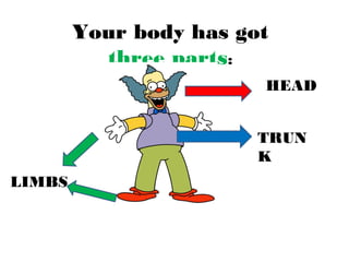 Your body has got 
three parts: 
HEAD 
TRUN 
K 
LIMBS 
 