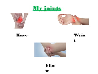 My joints 
Knee Wris 
t 
Elbo 
w 
 