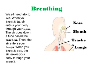 Breathing 
Nose 
Mouth 
Trache 
aLungs 
We all need air to 
live. When you 
breath in, air 
enters your body 
through your nose. 
The air goes down 
a tube called the 
trachea. Then, the 
air enters your 
lungs. When you 
breath out, the 
air leaves your 
body through your 
mouth. 
 