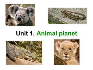Unit 1. Animal planet 
 