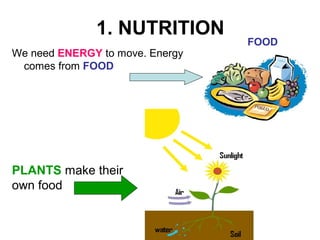 1. NUTRITION
We need ENERGY to move. Energy
comes from FOOD
PLANTS make their
own food
FOOD