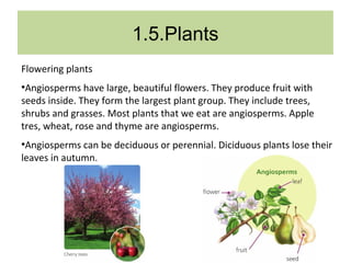 Unit 1. living things | PPT