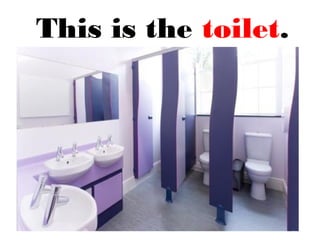 This is the toilet.
 