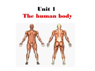 Unit 1
The human body
 