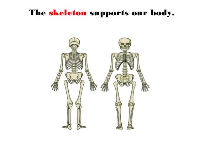 Unit 1.the human body