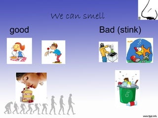 Unit1 HOW MY BODY WORKS | PPT