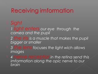  Sight
 1 light enters our eye through the
cornea and the pupil
 2 the iris is a muscle that makes the pupil
bigger or smaller
 3 the lens focuses the light wich allows
images
 4 nerve receptor in the retina send this
imformation along the opic nerve to our
brain
 