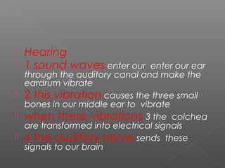  Hearing
 1 sound waves enter our enter our ear
through the auditory canal and make the
eardrum vibrate
 2 this vibration causes the three small
bones in our middle ear to vibrate
 when these vibrations 3 the colchea
are transformed into electrical signals
 4 the auditory nerve sends these
signals to our brain
 