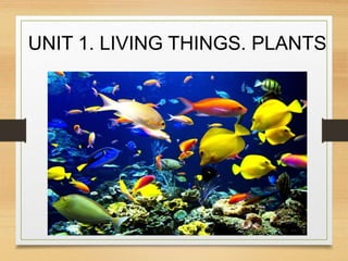 UNIT 1. LIVING THINGS. PLANTS
 