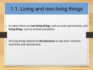 Are Rocks Living Things