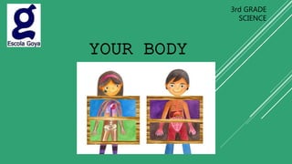 YOUR BODY
3rd GRADE
SCIENCE
 