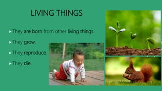 LIVING THINGS
They are born from other living things.
They grow.
They reproduce.
They die.
 