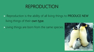 REPRODUCTION
 Reproduction is the ability of all living things to PRODUCE NEW
living things of their own type.
Living things are born from the same species.
 