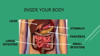 INSIDE YOUR BODY
LIVER
STOMACH
LARGE
INTESTINE SMALL
INTESTINE
PANCREAS
 