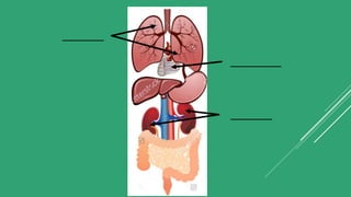 _________
___________
_________
 