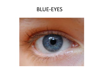 BLUE-EYES
 