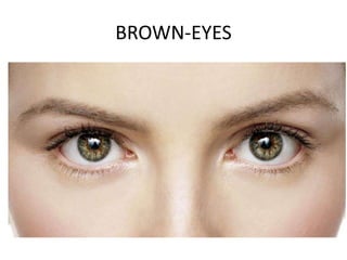BROWN-EYES
 