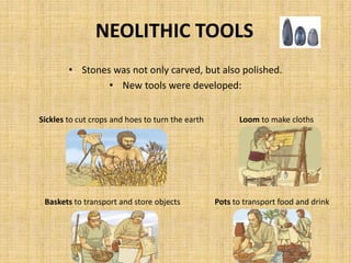 NEOLITHIC TOOLS
• Stones was not only carved, but also polished.
• New tools were developed:
Sickles to cut crops and hoes to turn the earth
Pots to transport food and drinkBaskets to transport and store objects
Loom to make cloths
 