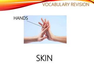 VOCABULARY REVISION
SKIN
HANDS
 