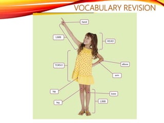 VOCABULARY REVISION
 