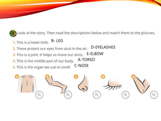A-TORSO
B- LEG
C-NOSE
E-ELBOW
D-EYELASHES
 